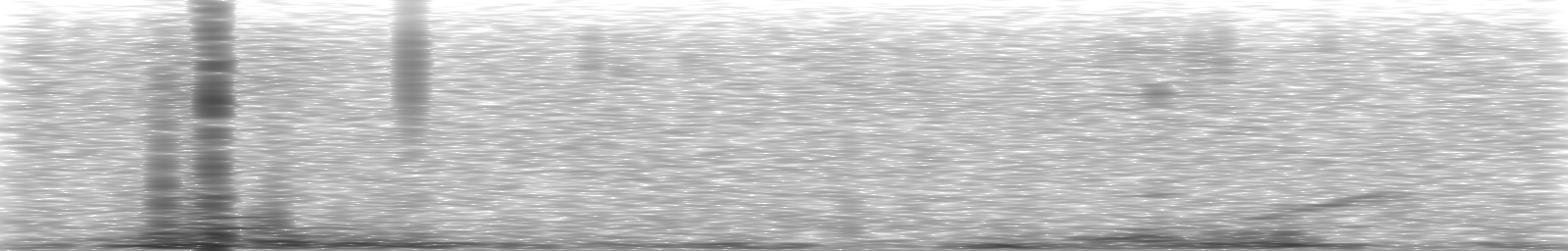 [Loading Spectrogram]