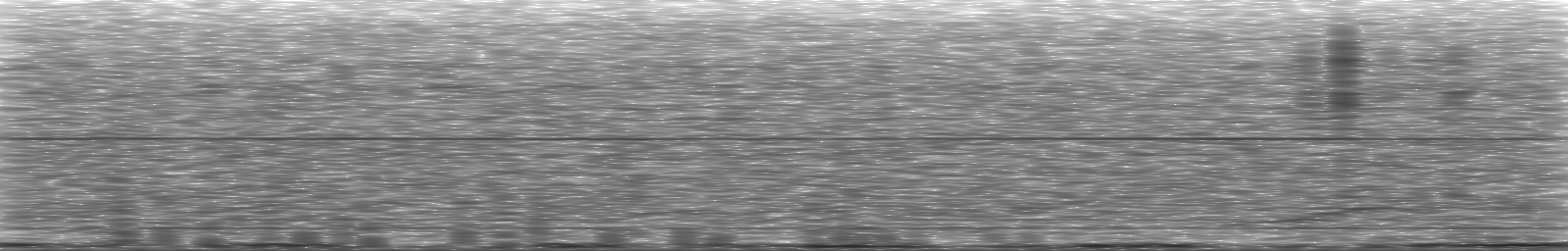 [Loading Spectrogram]