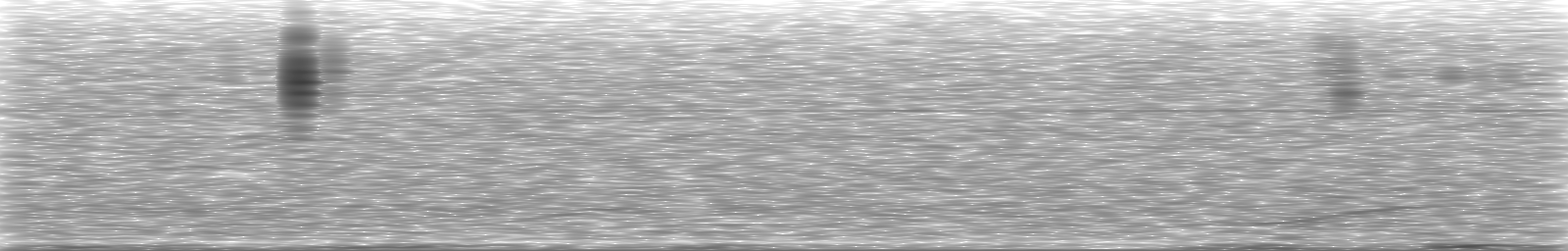 [Loading Spectrogram]