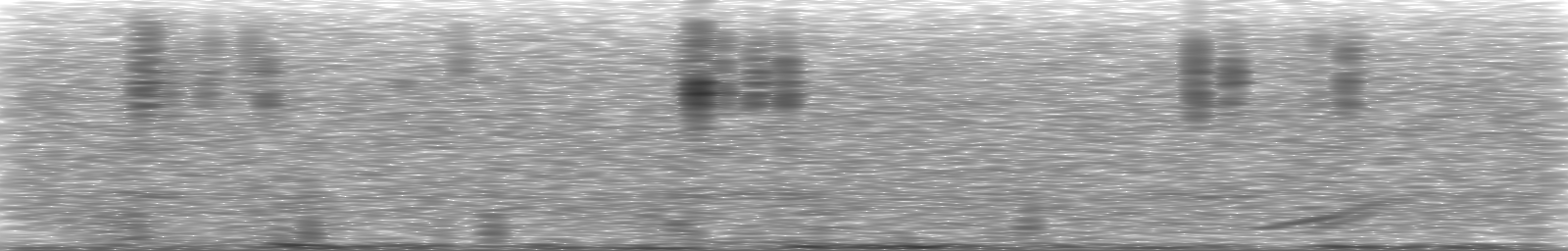 [Loading Spectrogram]