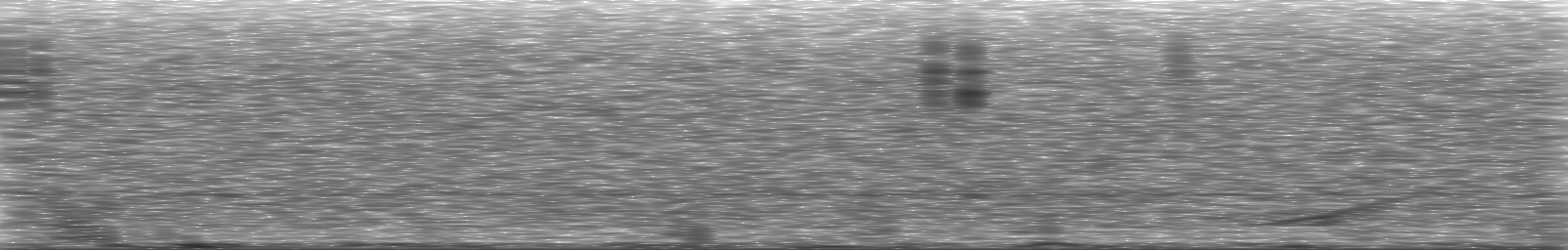 [Loading Spectrogram]