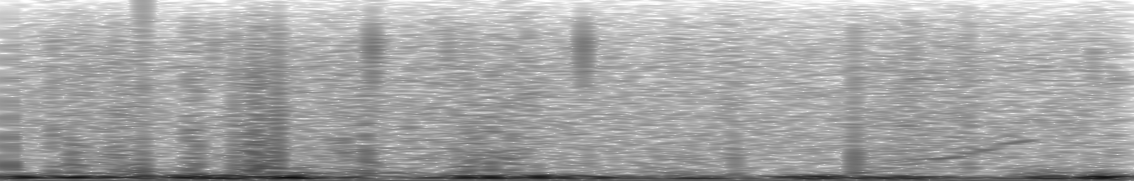 [Loading Spectrogram]