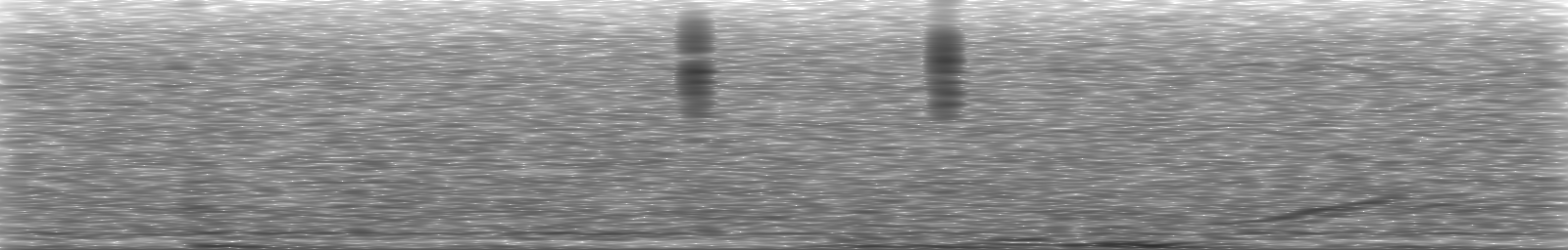 [Loading Spectrogram]