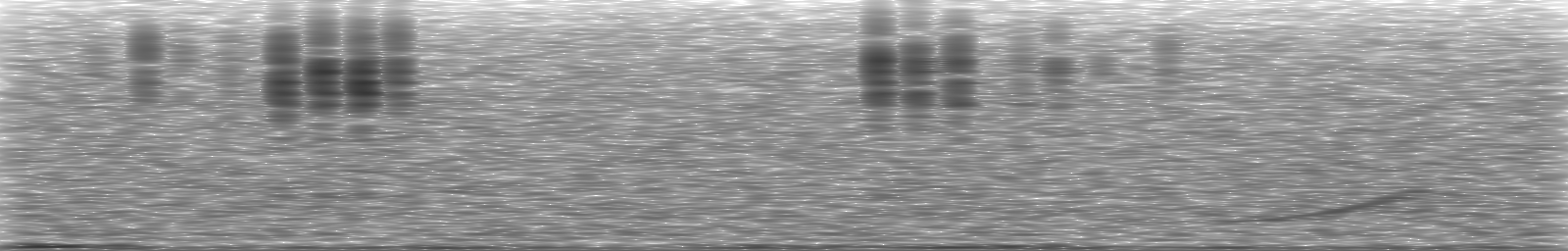 [Loading Spectrogram]