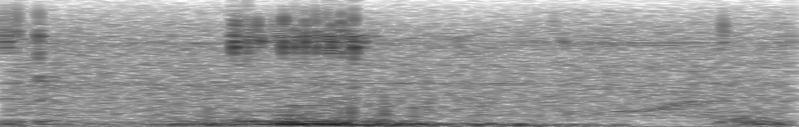 [Loading Spectrogram]