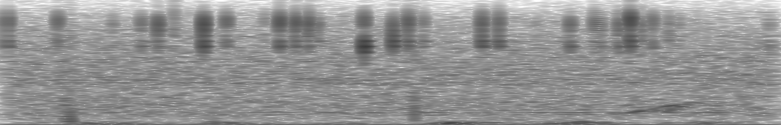 [Loading Spectrogram]