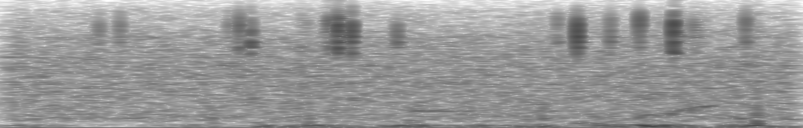 [Loading Spectrogram]