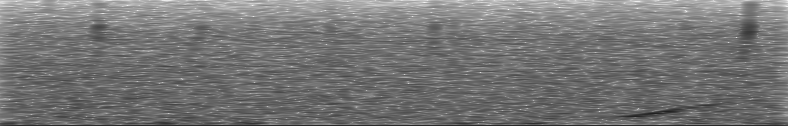 [Loading Spectrogram]