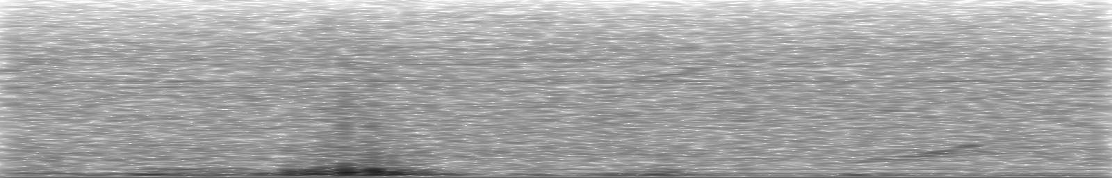 [Loading Spectrogram]