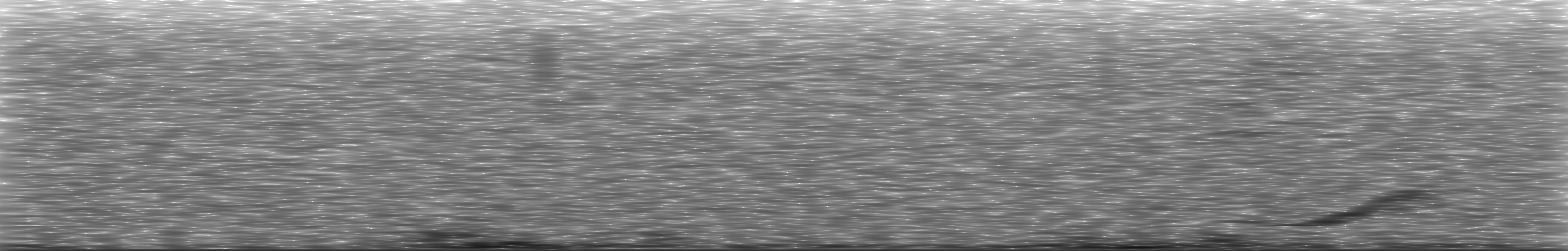 [Loading Spectrogram]