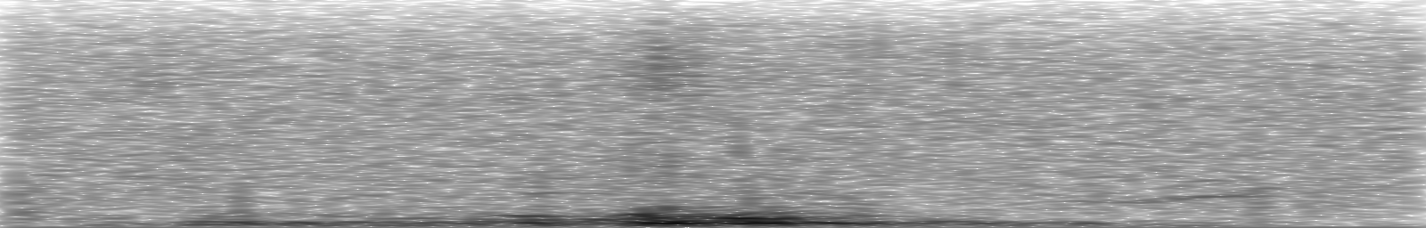 [Loading Spectrogram]