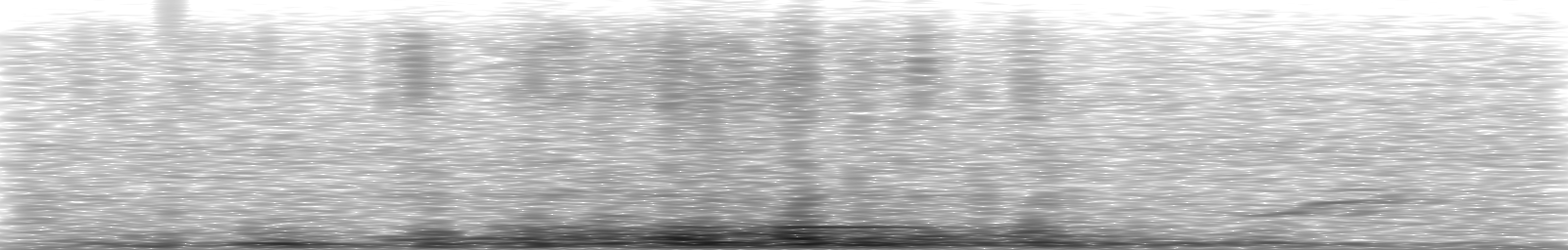 [Loading Spectrogram]