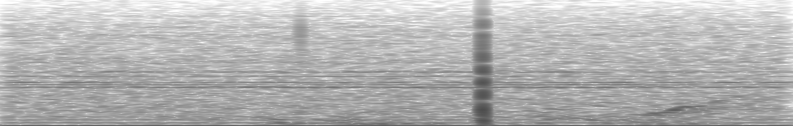 [Loading Spectrogram]