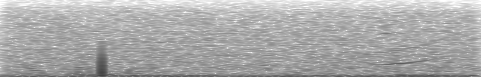 [Loading Spectrogram]