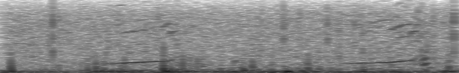 [Loading Spectrogram]