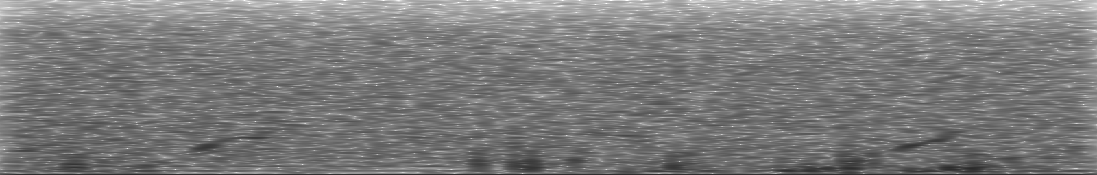 [Loading Spectrogram]