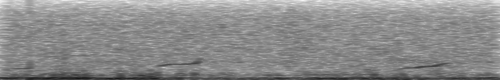 [Loading Spectrogram]