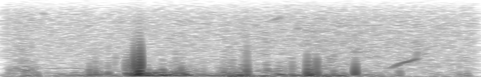 [Loading Spectrogram]