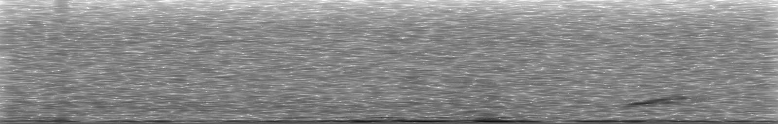 [Loading Spectrogram]