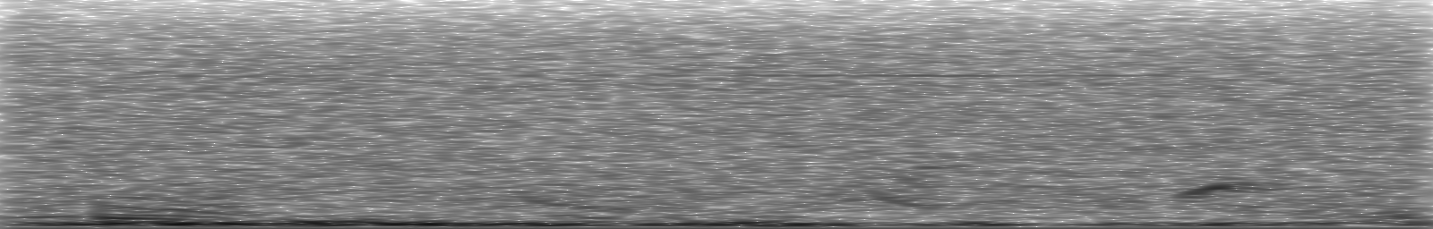 [Loading Spectrogram]