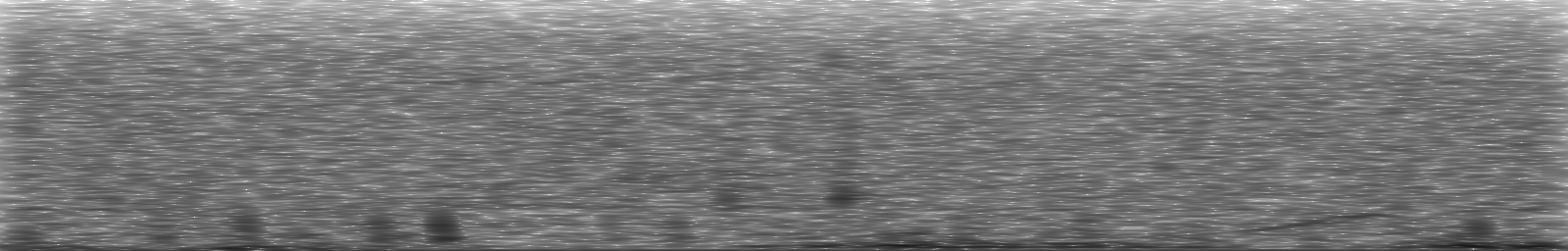 [Loading Spectrogram]