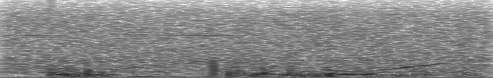 [Loading Spectrogram]