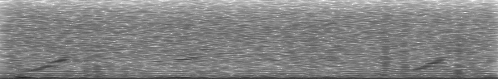 [Loading Spectrogram]