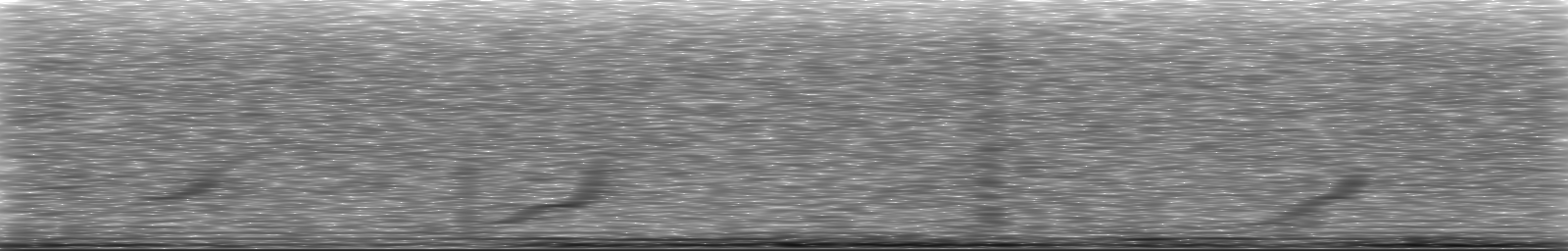 [Loading Spectrogram]