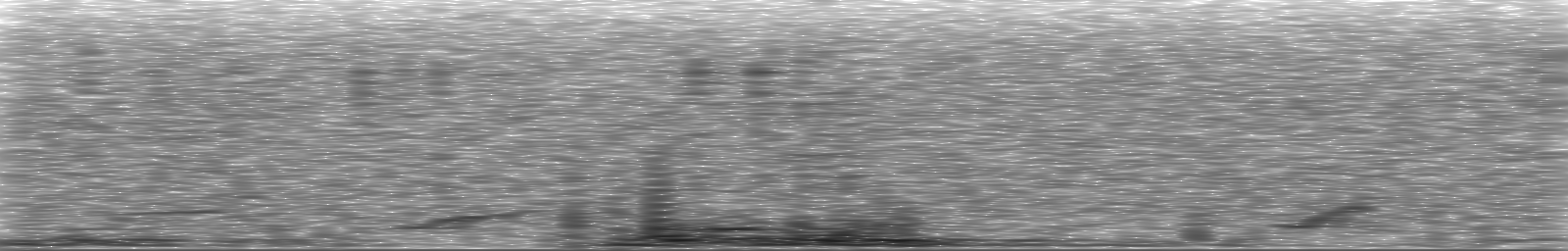 [Loading Spectrogram]