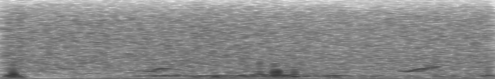 [Loading Spectrogram]