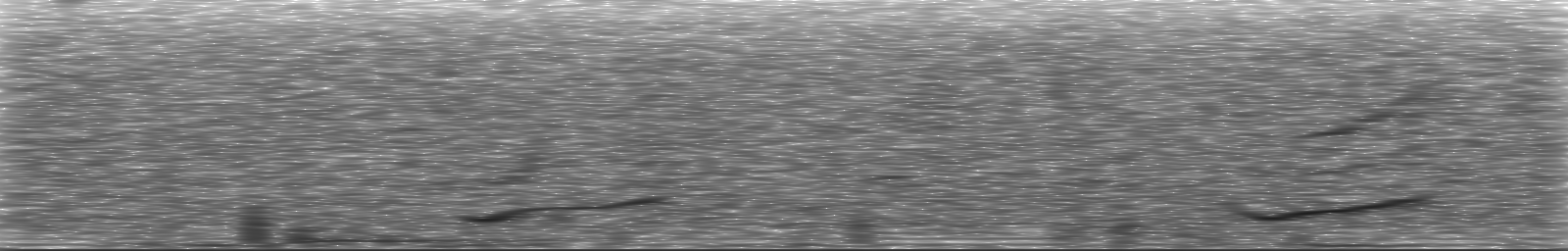 [Loading Spectrogram]