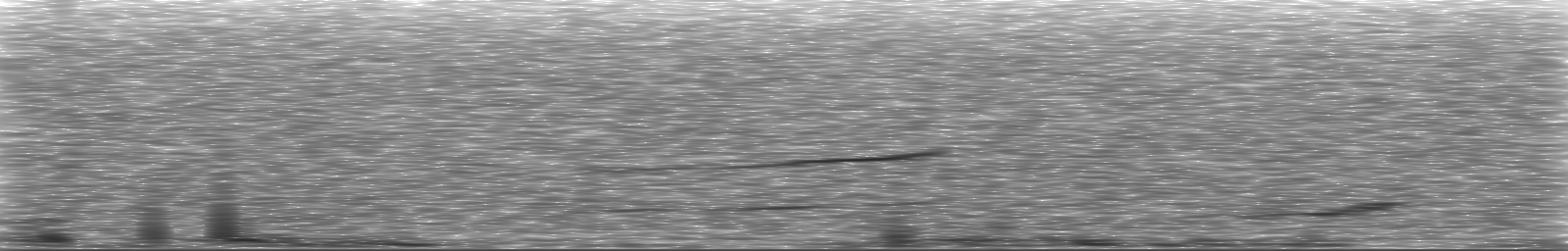 [Loading Spectrogram]