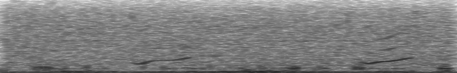 [Loading Spectrogram]