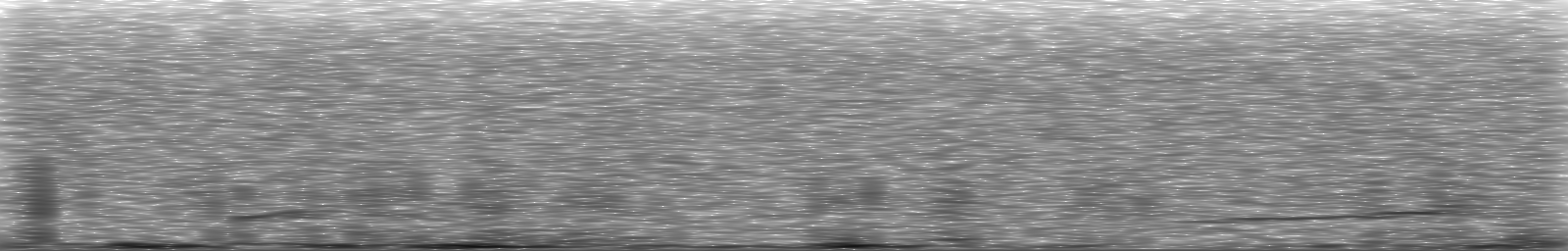 [Loading Spectrogram]