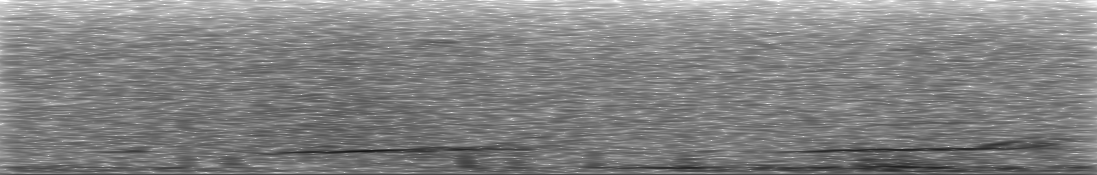 [Loading Spectrogram]