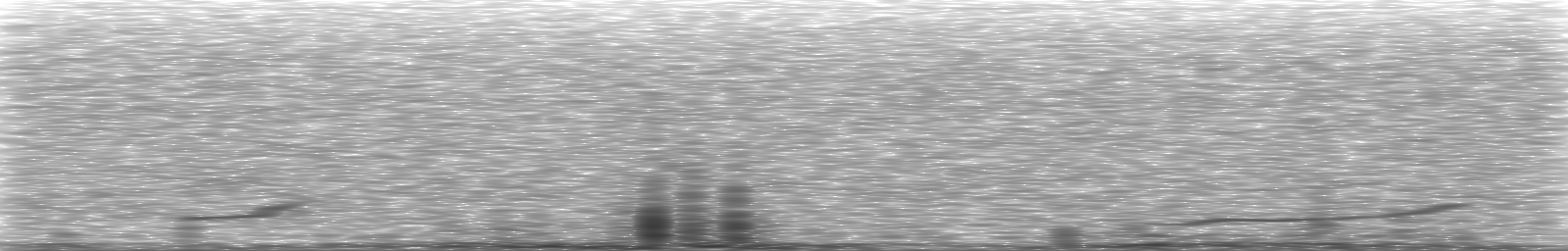 [Loading Spectrogram]