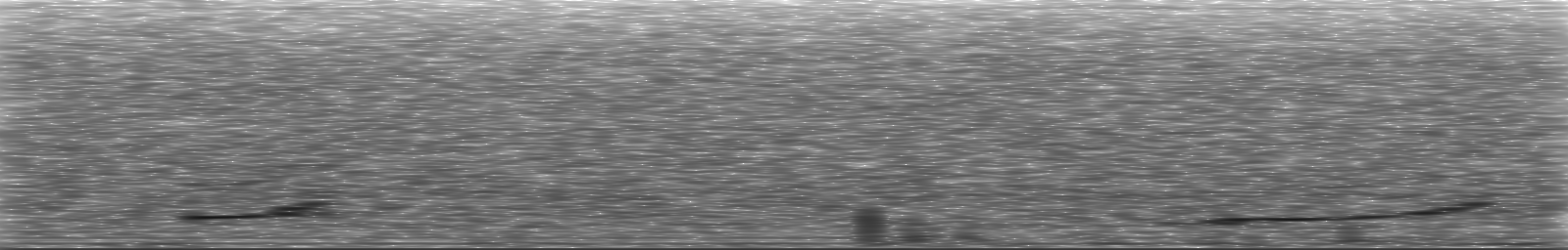 [Loading Spectrogram]