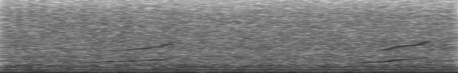 [Loading Spectrogram]