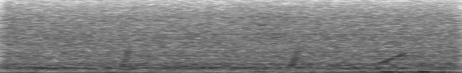 [Loading Spectrogram]