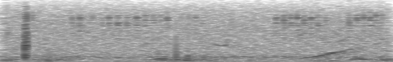 [Loading Spectrogram]