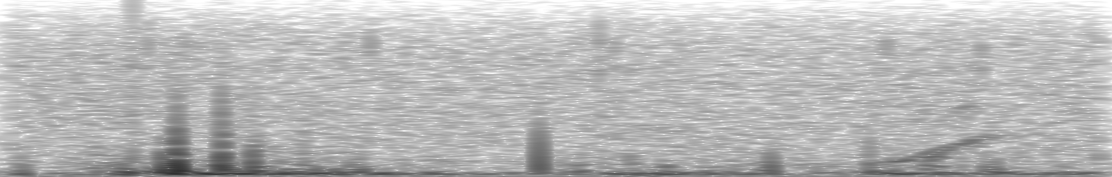 [Loading Spectrogram]