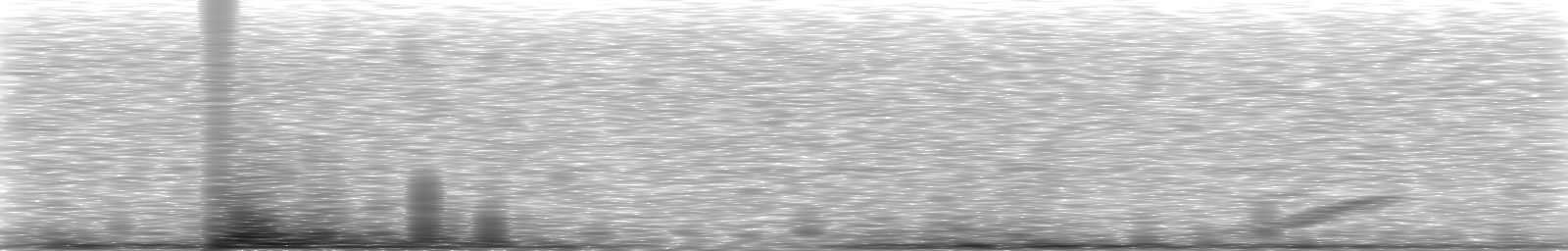 [Loading Spectrogram]