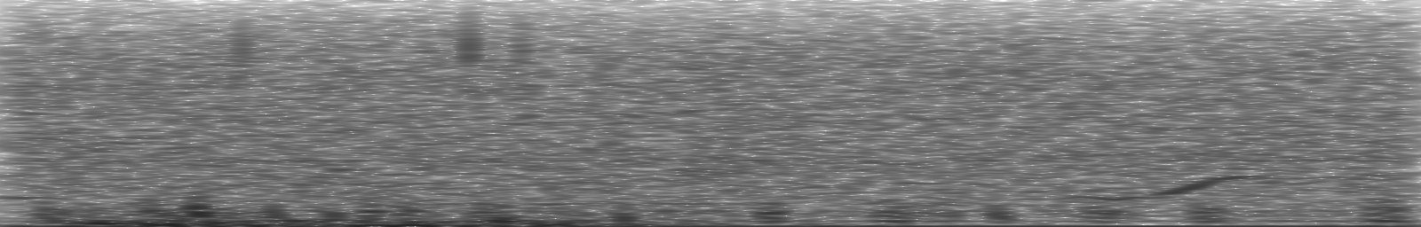 [Loading Spectrogram]