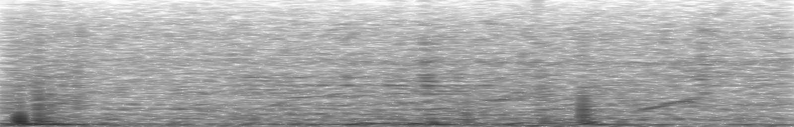 [Loading Spectrogram]