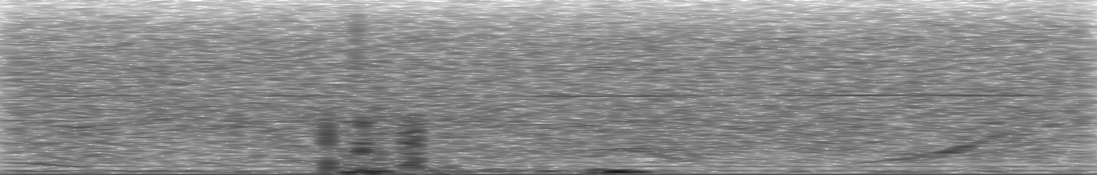 [Loading Spectrogram]