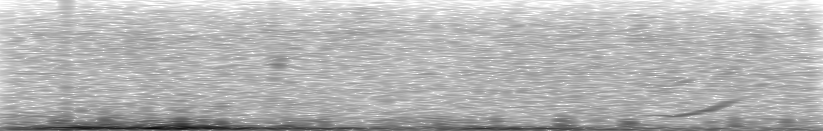 [Loading Spectrogram]