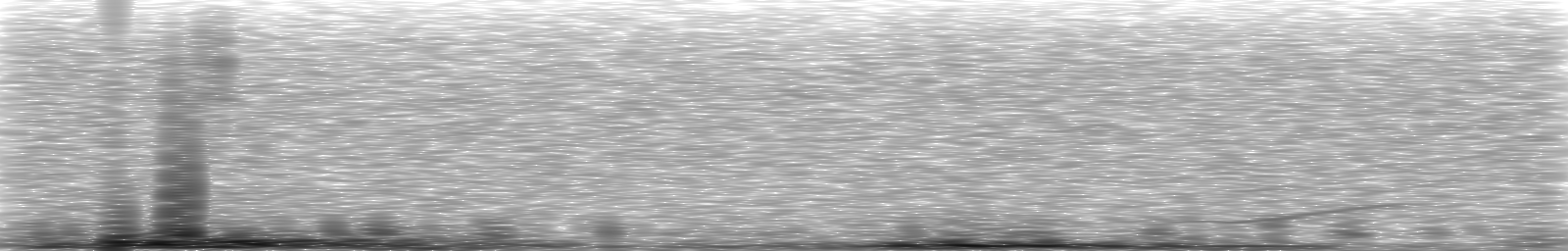 [Loading Spectrogram]