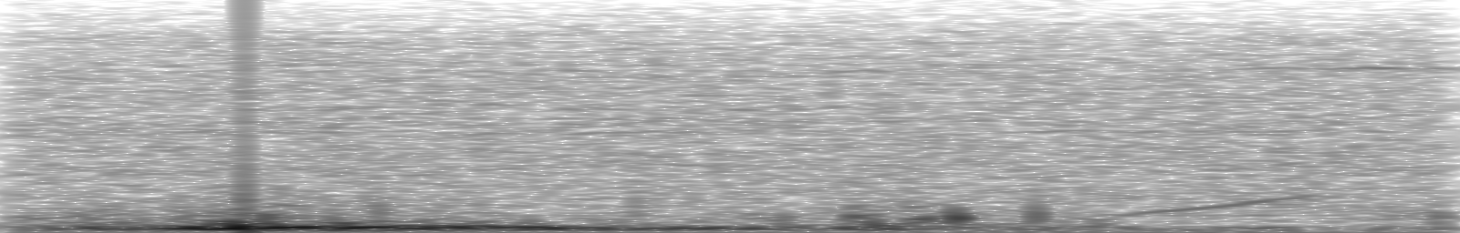 [Loading Spectrogram]