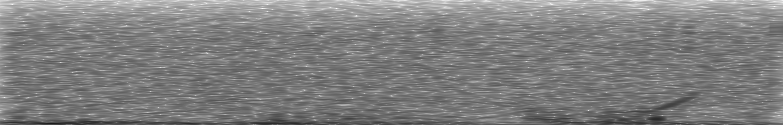 [Loading Spectrogram]