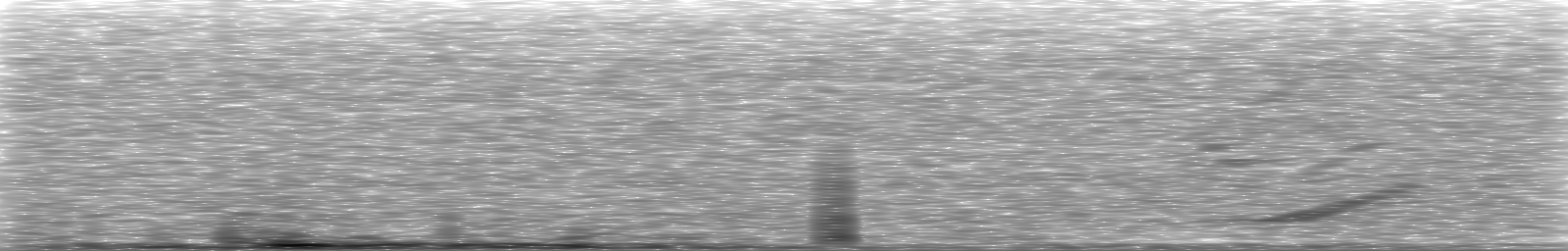 [Loading Spectrogram]